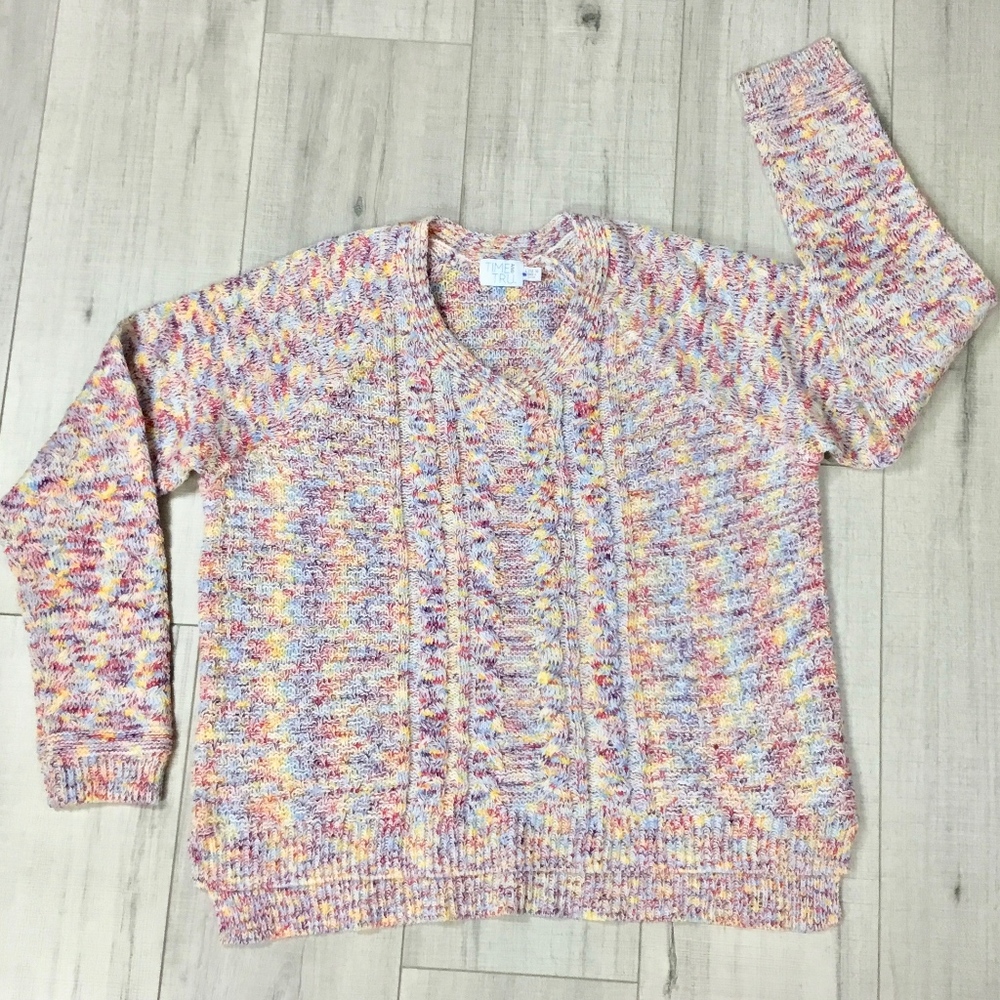 🐾 Time and Tru colorful sweater sz L